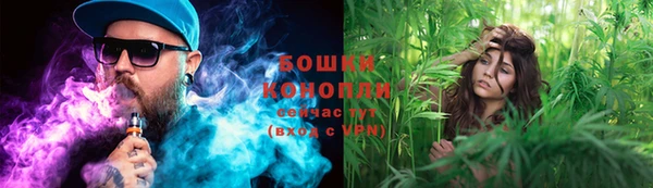 стаф Арсеньев