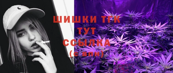 стаф Арсеньев