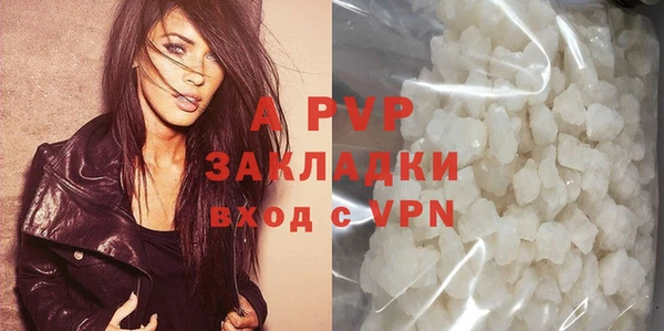 стаф Арсеньев