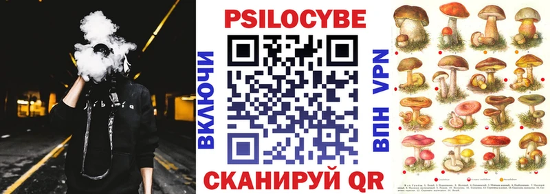 Псилоцибиновые грибы Magic Shrooms Пушкино