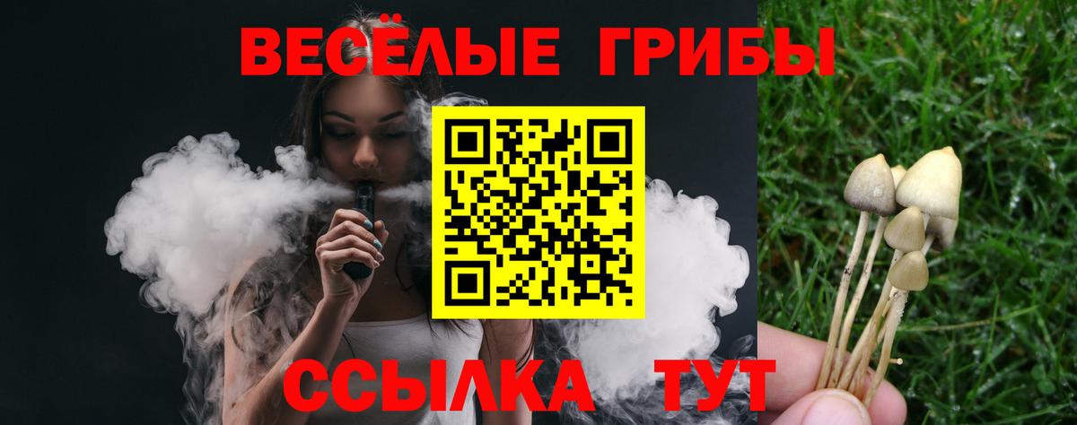 Псилоцибиновые грибы мухоморы Пушкино